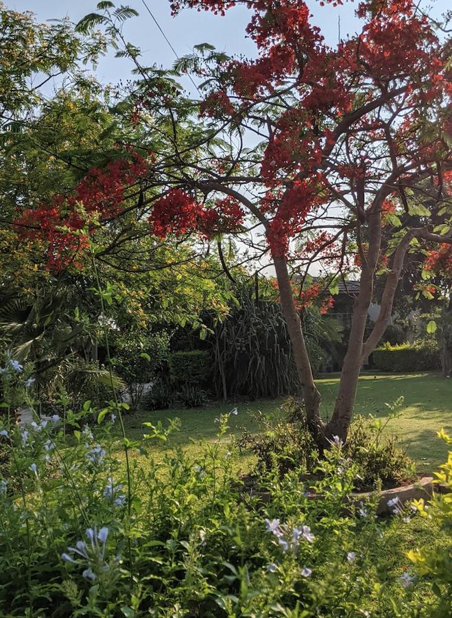 The Residence Villa Chobe Kasane Eksteriør bilde